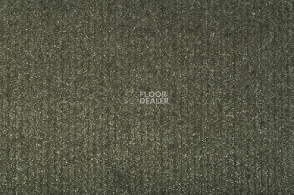 Ковролин Balta ITC Eliot 29 фото 1 | FLOORDEALER